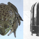Illustration for article titled The First Animals In Space